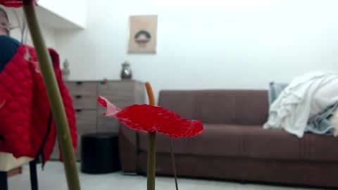 Snapshot of classy_medeeea chatting on 12.22.24 Deea xxx online show from 12.22.24