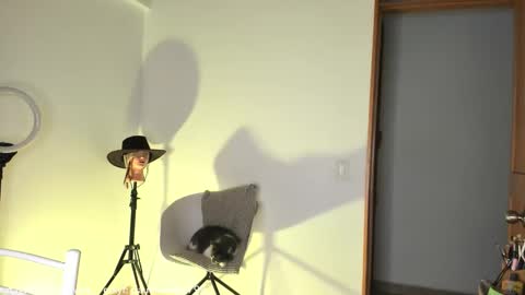 Claudia Rivera online show from 10.31.25