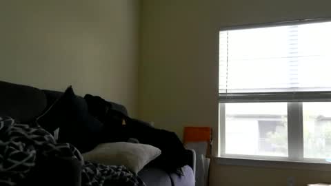 instayour big commander online show from 12.24.24