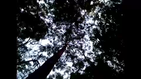 Snapshot of cmdwmd chatting on 01.26.25 Matriarch Muse online show from 01.26.25