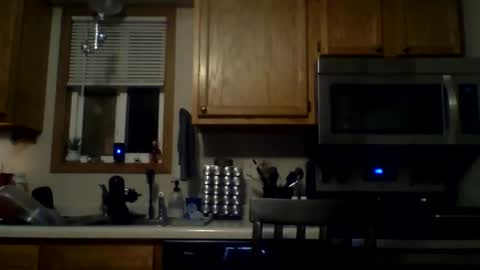 cockspierced online show from 02.09.26