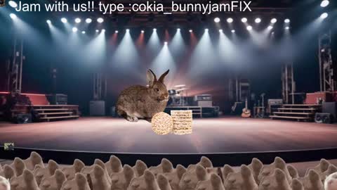 Cokia online show from 12.17.24