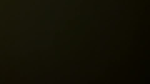 Allie online show from 01.02.25