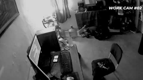 cometodani online show from 04.16.26