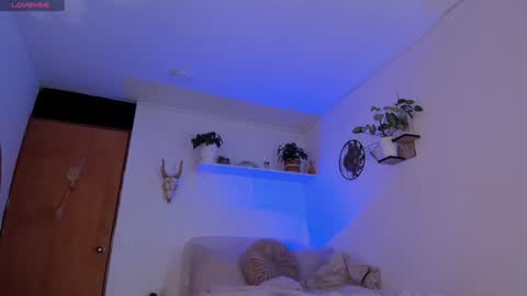 connie    online show from 01.20.25