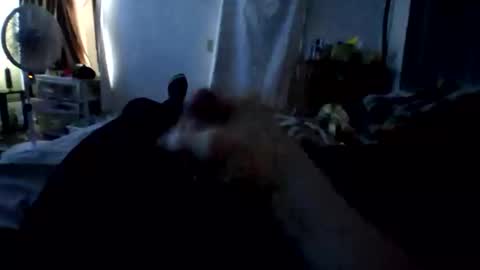 connlee10929154 online show from 01.16.26