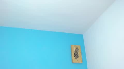 Snapshot of connor_garrett chatting on 12.08.24 Connor online show from 12.08.24