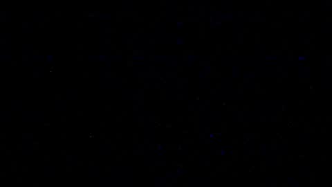 cookieforme online show from 02.19.25