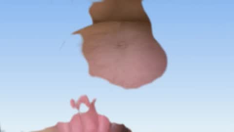 Snapshot of cool_runnings11 chatting on 02.24.26 whatever you want it to be online show from 02.24.26