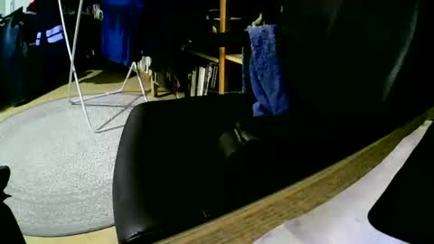 coyote017 online show from 02.01.25