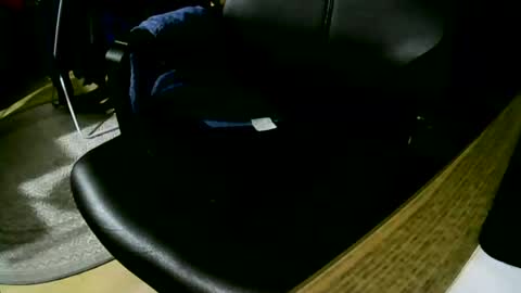 coyote017 online show from 02.08.25