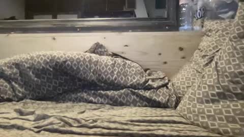 crapaud75018 online show from 01.08.25