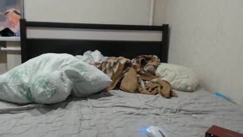 Snapshot of cris_peace chatting on 01.19.26 JOIN IN A FAN CLUB AND YOU WILL HAVE 90 OF MY PHOTOVIDEO FREE FANSLY - online show from 01.19.26