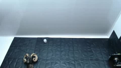 Hanna  online show from 02.27.25