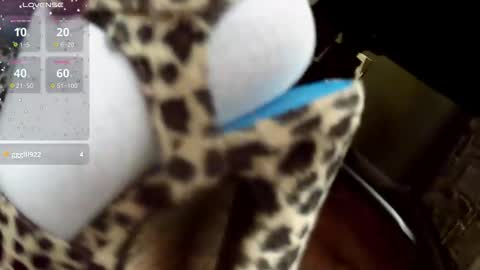 crossdresser krystal online show from 03.01.26