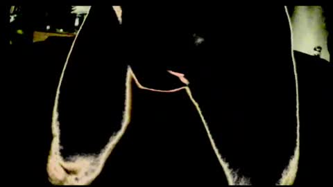 cum4me2i812 online show from 07.23.26