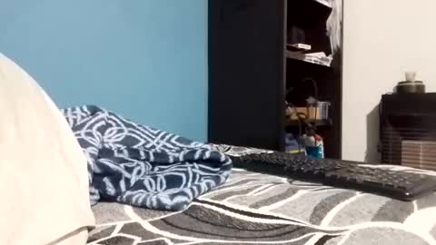 cumbian_chero online show from 02.23.26