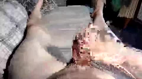 Paul online show from 10.10.25