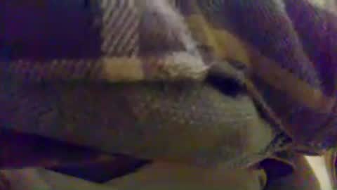 cumtowa online show from 06.17.26