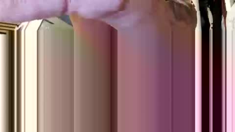 Snapshot of cumsinmealot chatting on 02.05.26 Aprilia online show from 02.05.26