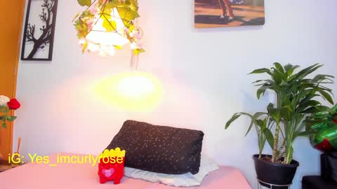 Rose online show from 01.28.25