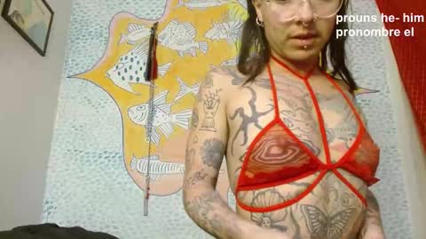 Curuba online show from 12.25.24