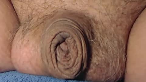 cute_stud2855 online show from 02.08.26