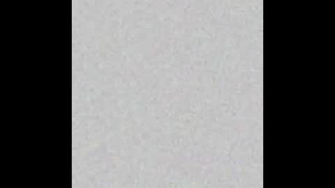 Wedito online show from 12.17.25