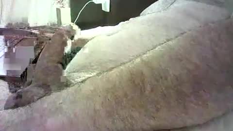 Snapshot of cv79brctba chatting on 10.29.25 cv79brctba online show from 10.29.25