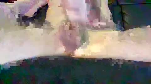 cwaddle online show from 02.16.25