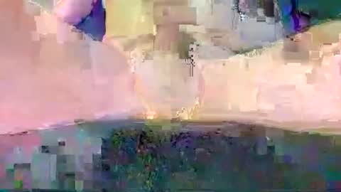 cwaddle online show from 06.08.26
