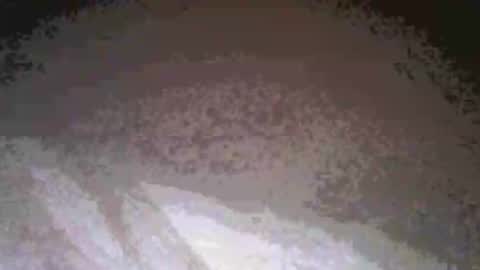 cwill27837 online show from 02.26.26