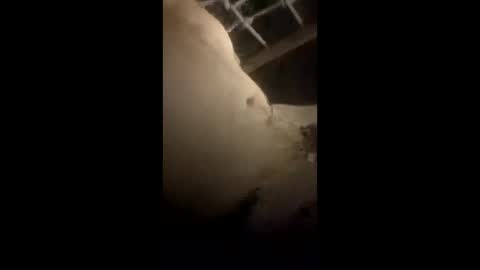 Snapshot of da_p44 chatting on 03.22.26 da_p44 online show from 03.22.26