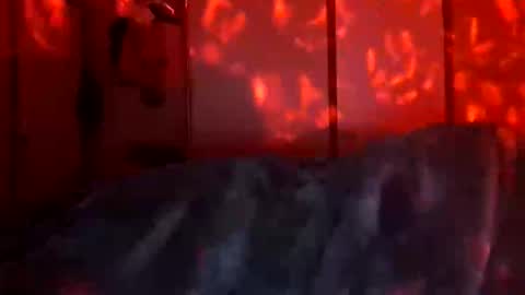 Daddett iS Wett online show from 12.18.25