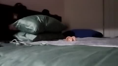 Snapshot of daddy69sx77 chatting on 02.06.26 Kasey Xdresser online show from 02.06.26