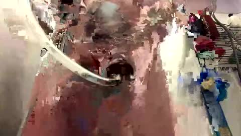 Daddy online show from 01.05.25