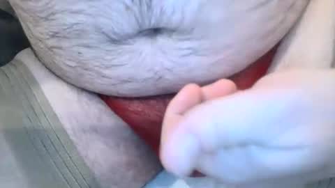 Van online show from 03.01.26