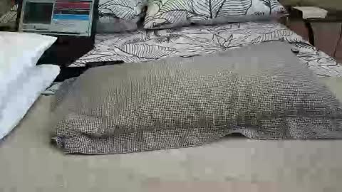 daddyslittleebony online show from 04.12.26