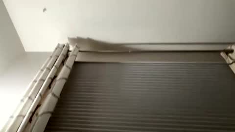 daddyweis online show from 09.16.25