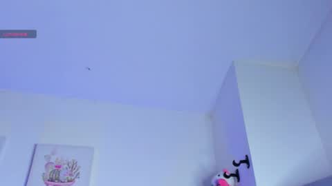    online show from 02.26.25