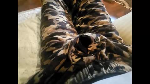 DailyJerker84 online show from 11.23.25