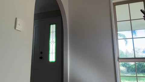 Daisy online show from 03.15.26