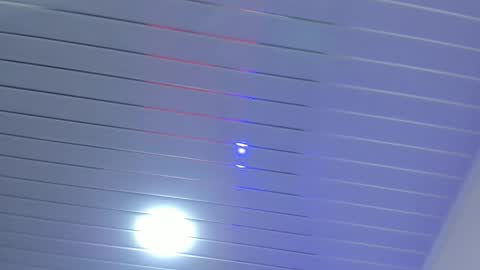 Daisy online show from 11.03.25