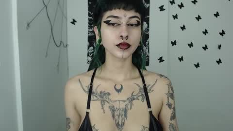 dakota online show from 01.08.25