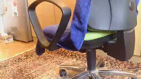 Snapshot of dammerl6 chatting on 02.18.25 Dammerl online show from 02.18.25