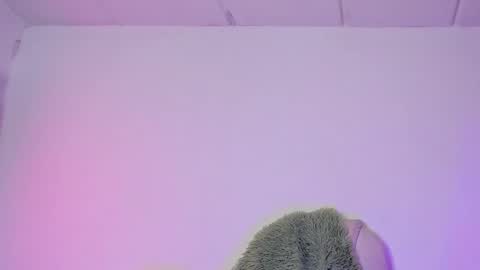 Criss online show from 02.06.25