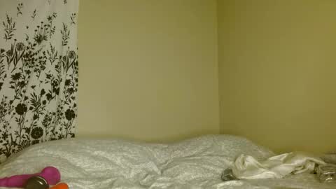 Nova online show from 04.08.26