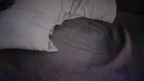 dan5666 online show from 11.27.25