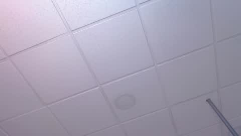 dana online show from 12.19.24