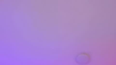 Dana online show from 07.14.26